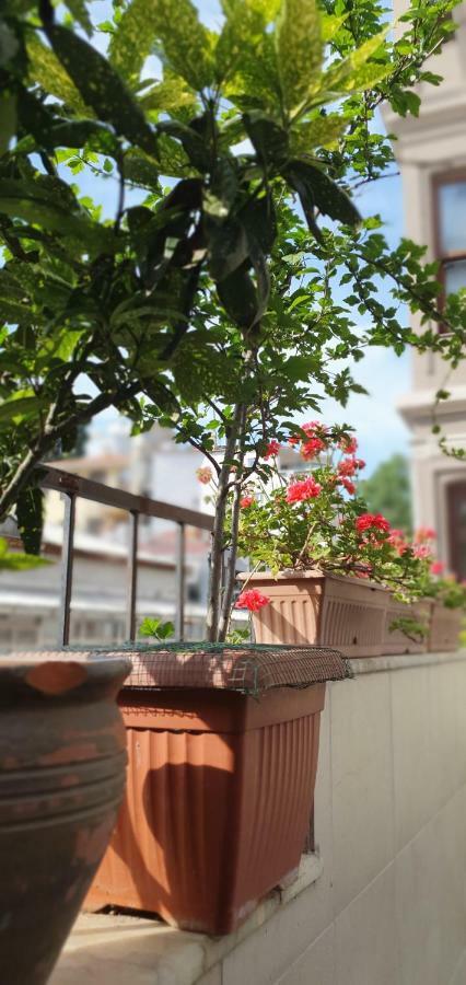 Apartamento de 2 dormitorios con balcón y terraza